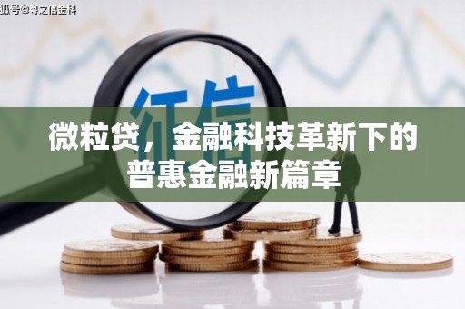 市中区微粒贷，金融科技革新下的普惠金融新篇章
