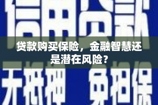市中区贷款购买保险，金融智慧还是潜在风险？