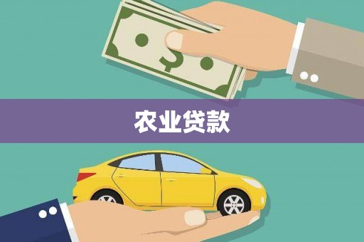 市中区农业贷款