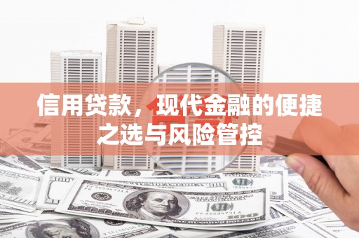 市中区信用贷款，现代金融的便捷之选与风险管控