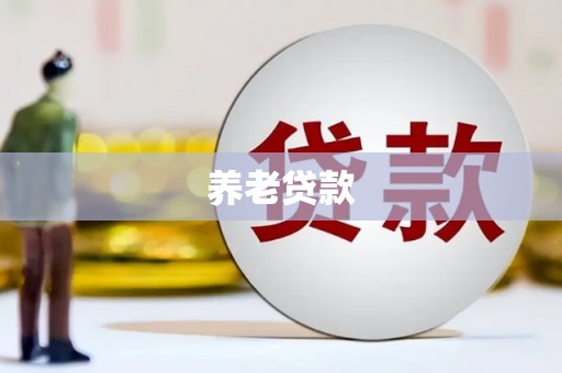 市中区养老贷款