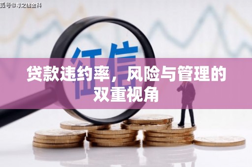 市中区贷款违约率，风险与管理的双重视角