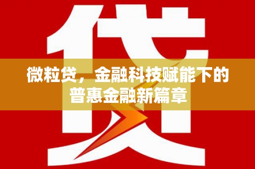 市中区微粒贷，金融科技赋能下的普惠金融新篇章