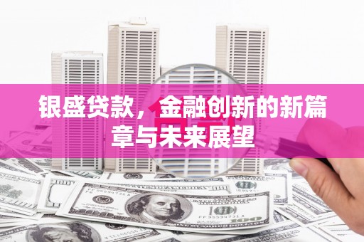 市中区银盛贷款，金融创新的新篇章与未来展望
