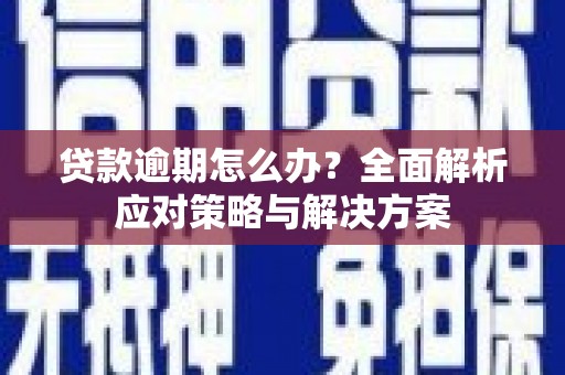 市中区贷款逾期怎么办？全面解析应对策略与解决方案