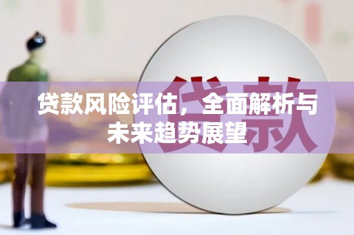 市中区贷款风险评估，全面解析与未来趋势展望
