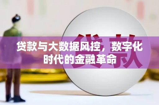 市中区贷款与大数据风控，数字化时代的金融革命