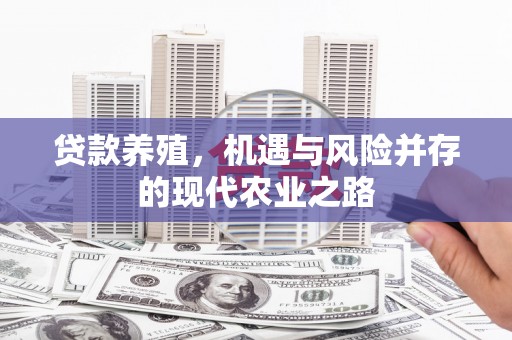 市中区贷款养殖，机遇与风险并存的现代农业之路