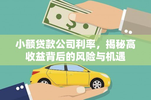 市中区小额贷款公司利率，揭秘高收益背后的风险与机遇