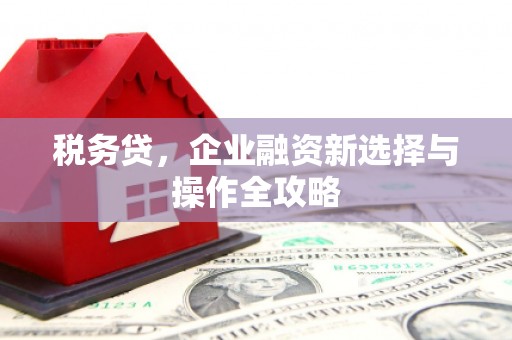 市中区税务贷，企业融资新选择与操作全攻略