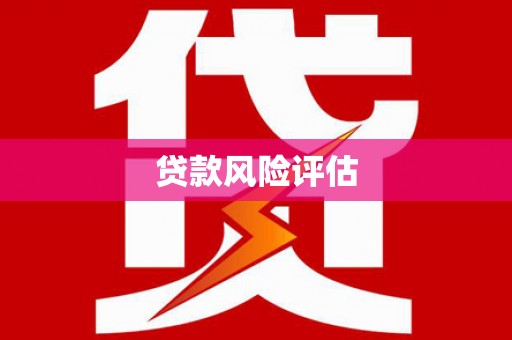 市中区贷款风险评估