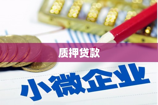 市中区质押贷款