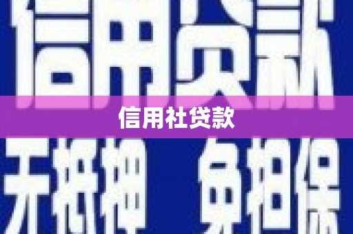 市中区信用社贷款