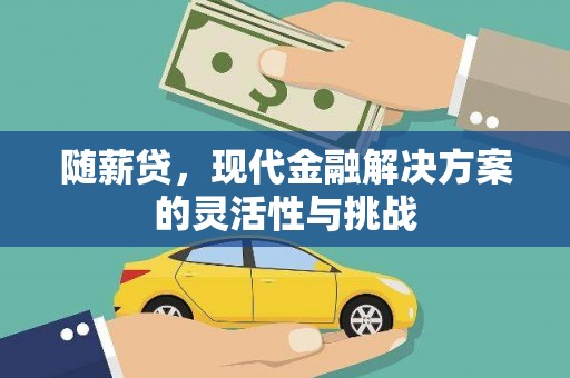 市中区随薪贷，现代金融解决方案的灵活性与挑战