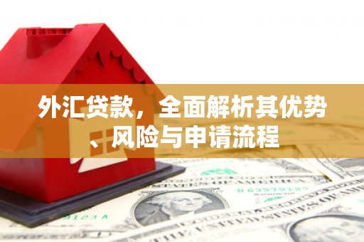 市中区外汇贷款，全面解析其优势、风险与申请流程