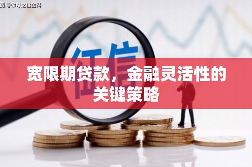 市中区宽限期贷款，金融灵活性的关键策略