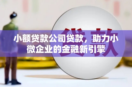 市中区小额贷款公司贷款，助力小微企业的金融新引擎
