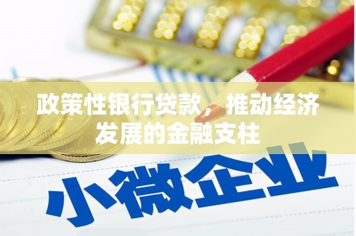 市中区政策性银行贷款，推动经济发展的金融支柱