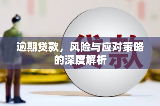 市中区逾期贷款，风险与应对策略的深度解析