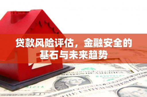 市中区贷款风险评估，金融安全的基石与未来趋势