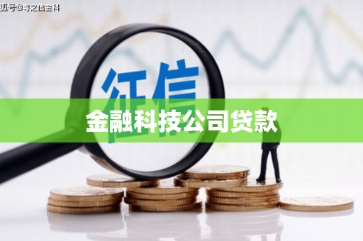 市中区金融科技公司贷款