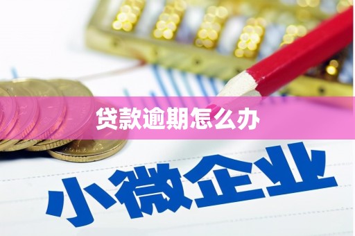 市中区贷款逾期怎么办
