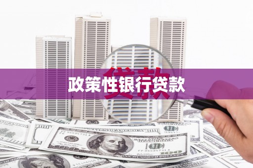 市中区政策性银行贷款
