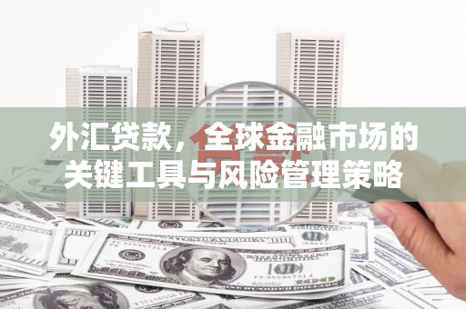市中区外汇贷款，全球金融市场的关键工具与风险管理策略