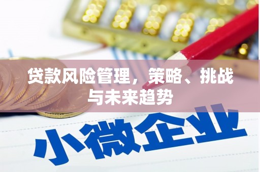 市中区贷款风险管理，策略、挑战与未来趋势