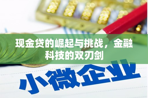 市中区现金贷的崛起与挑战，金融科技的双刃剑
