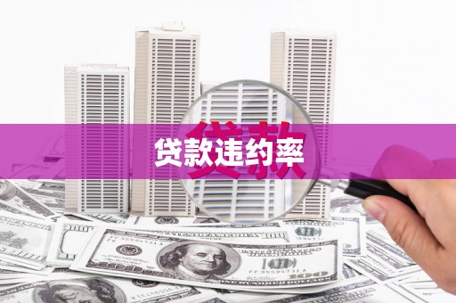 市中区贷款违约率