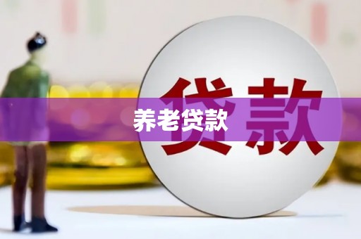 市中区养老贷款