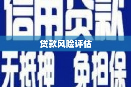 市中区贷款风险评估