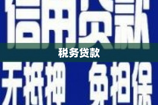市中区税务贷款