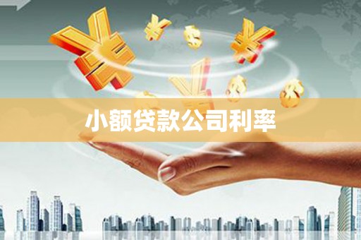 市中区小额贷款公司利率