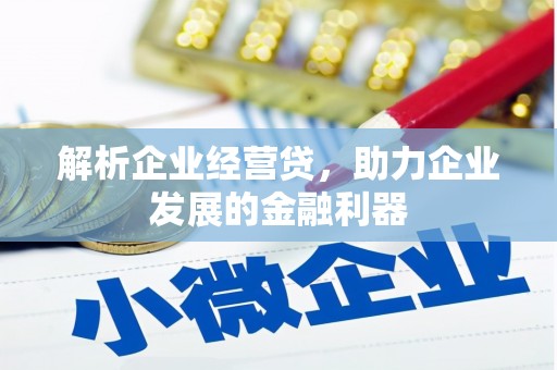 市中区解析企业经营贷，助力企业发展的金融利器
