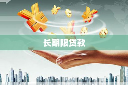 市中区长期限贷款