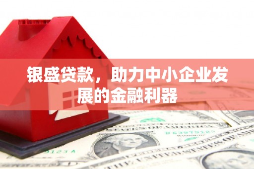 市中区银盛贷款，助力中小企业发展的金融利器