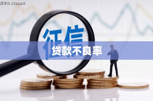 市中区贷款不良率