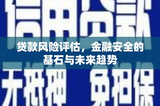 市中区贷款风险评估，金融安全的基石与未来趋势