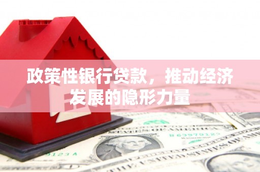 市中区政策性银行贷款，推动经济发展的隐形力量
