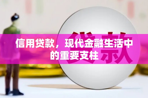 市中区信用贷款，现代金融生活中的重要支柱