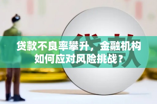 市中区贷款不良率攀升，金融机构如何应对风险挑战？