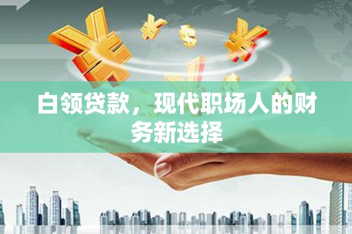 市中区白领贷款，现代职场人的财务新选择