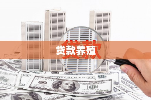 市中区贷款养殖