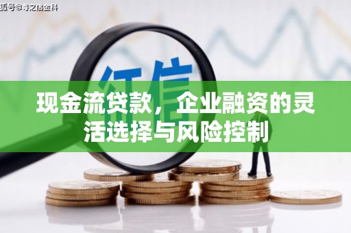 市中区现金流贷款，企业融资的灵活选择与风险控制