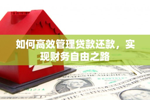 市中区如何高效管理贷款还款，实现财务自由之路