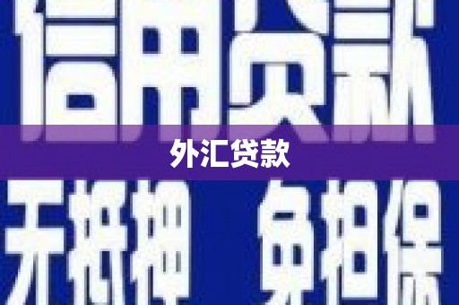 市中区外汇贷款