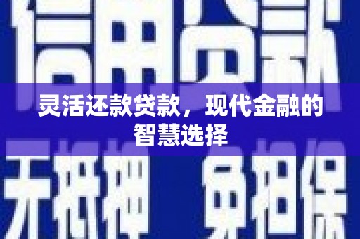 市中区灵活还款贷款，现代金融的智慧选择