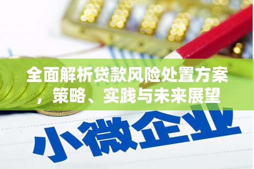 市中区全面解析贷款风险处置方案，策略、实践与未来展望